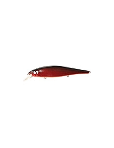 Pointer 128 color Aurora Craw