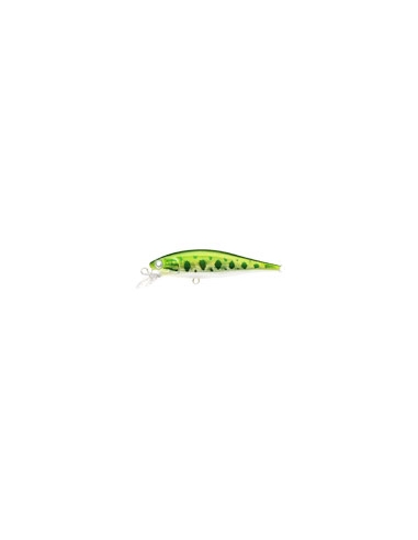 Pointer 65 Aurora Bass