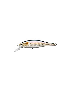 Pointer 65 MS American Shad