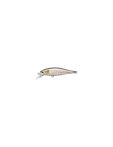 Pointer 65 MS American Shad