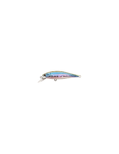 Pointer 65 MS MJ Herring