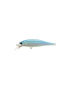 Pointer 65 Citrus shad