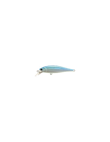 Pointer 65 Citrus shad