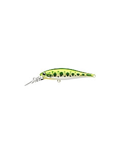 Pointer 65DD Aurora Bass