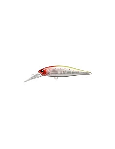 Pointer 65DD Nishiki