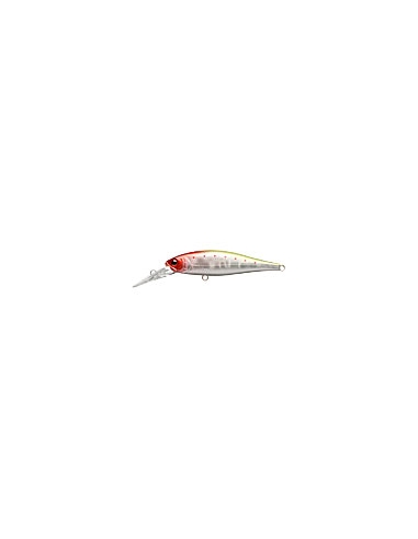 Pointer 65DD Nishiki