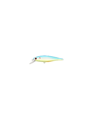 Pointer 78 color Chartreuse Light Blue