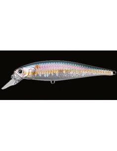 Pointer 78 color MS American Shad