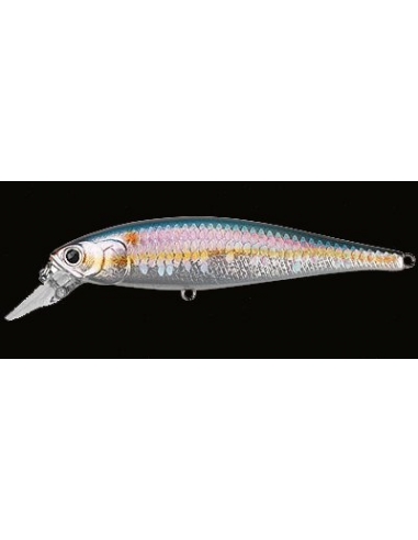 Pointer 78 color MS American Shad
