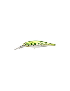 Pointer 78DD color Aurora Bass