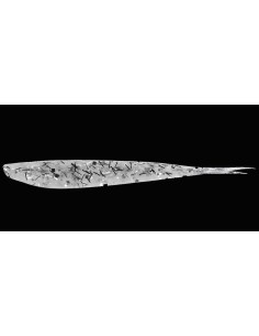 Fluke color Clear Silver Black