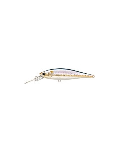 Pointer 78DD color MS American Shad