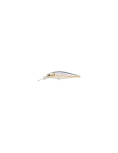 Pointer 78DD color MS American Shad