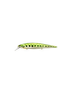 Slender Pointer 112MR color Aurora Bass