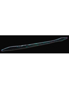 Trick Worm color junebug