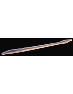 Trick Worm color natural blue