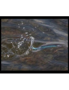 R2S Whopper Plopper 130... 2
