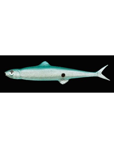 Last Ace 75 color 56 Reservoir Shad