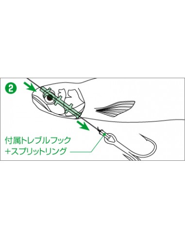 Last Ace 168 color 54 Skeleton Chart
