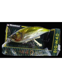 BIG-M 4.0 COLOR GG BASS