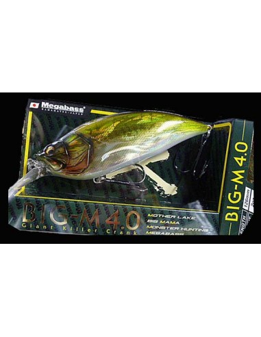 BIG-M 4.0 COLOR GG BASS