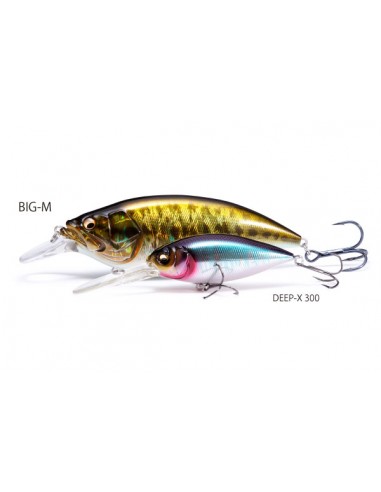 BIG-M 4.0 COLOR GG Wild Gill