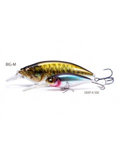 BIG-M 4.0 COLOR Mat Tiger 2