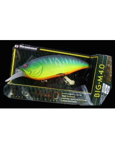 BIG-M 4.0 COLOR Mat Tiger