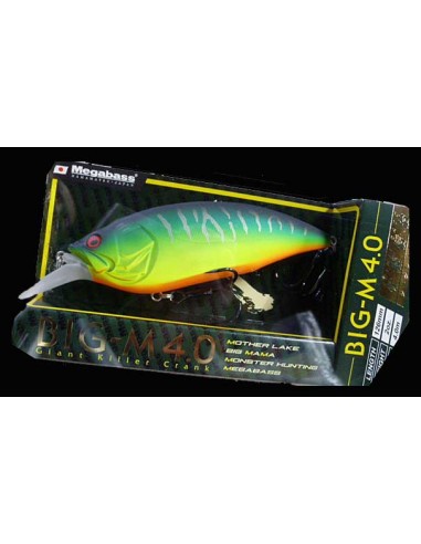 BIG-M 4.0 COLOR Mat Tiger