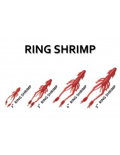 Ring Shrimp 4" color B19... 2
