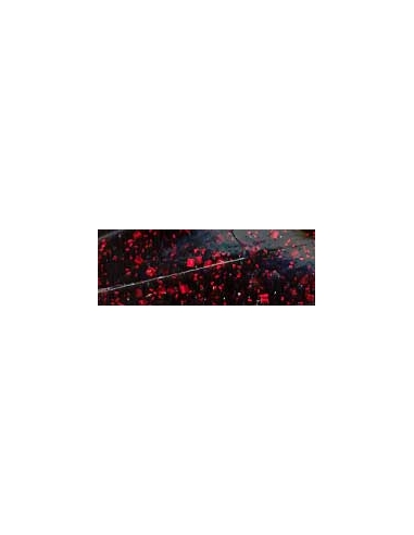 Li´l Critter Craw color negro/purpurina roja