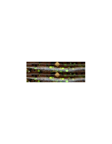 Mini Lizard color mossy pumpkin