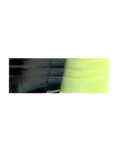 SS+ Lizard color negro/cola chartreuse