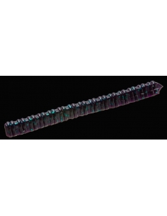 Centipede color June Bug