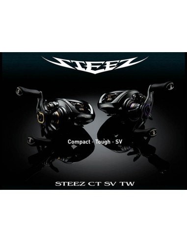 2019 DAIWA STEEZ CT SV TW 700HL