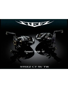 2019 DAIWA STEEZ CT SV TW...