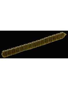 Centipede color Green Pumpkin