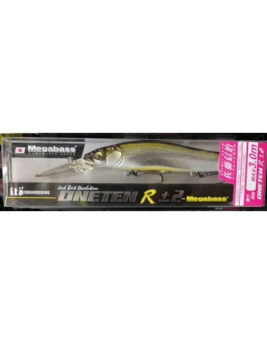 Vision Oneten R+2 color M Stardust...