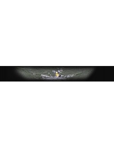 Imakatsu Dead Screw 3D... 2