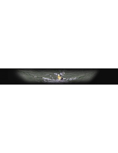 Imakatsu Dead Screw 3D Realism color 776