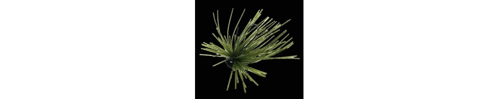 Guard y Mono Spin Jig