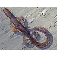 Salamandras