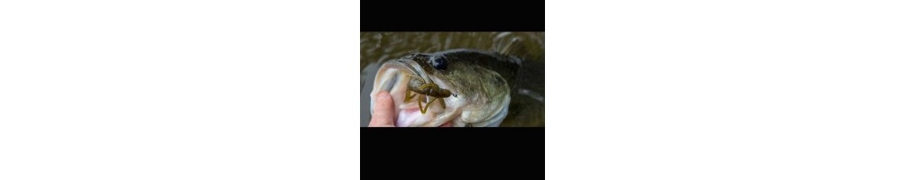 Zoom UV Speed Craw 12pk