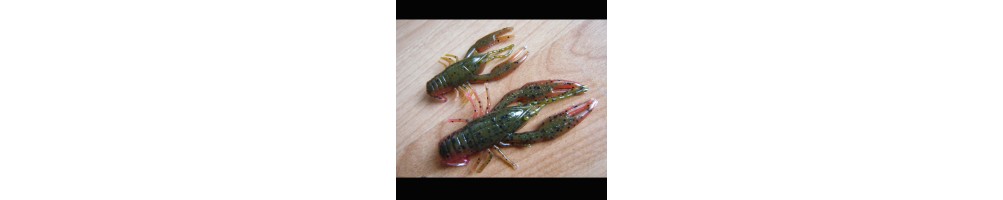 Yum Craw Bug