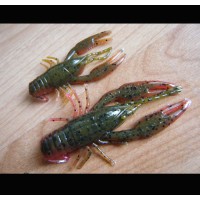 Yum Craw Bug