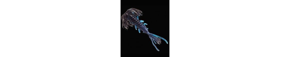 Chomper Skirted Spider Craw
