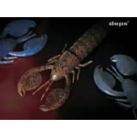 Deps Clap Craw
