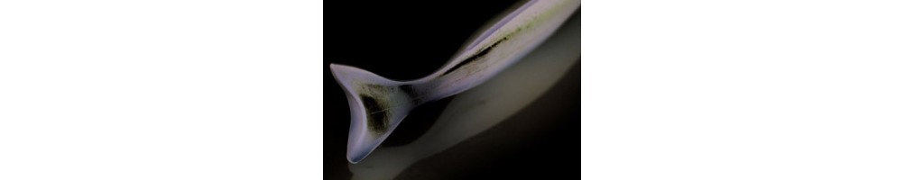 Deps Shudder Bait