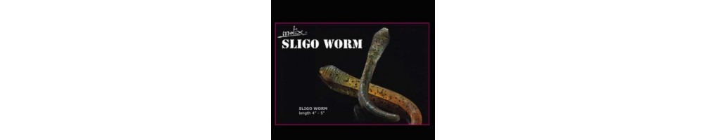 Molix Sligo