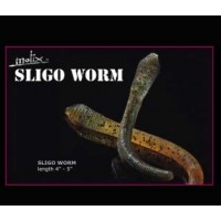 Molix Sligo